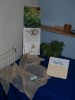 Susi's nettles