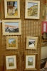 paintings by local artist